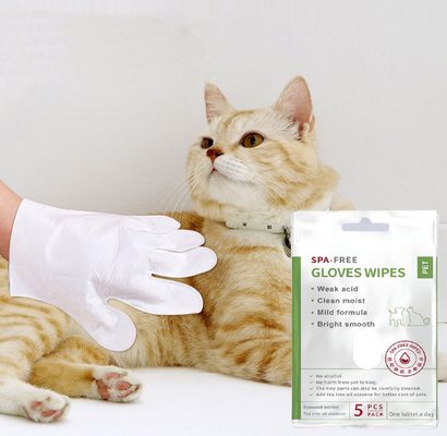 표면 본체 귀 손과 엉덩이를 위한 글러브를 청소하는 5 PC 버릴 수 있는 No Rinse Pet