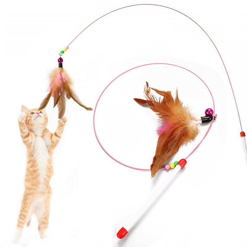 Hallupets 고양이 애완 동물 장난감 고양이 깃털 티저 지팡이