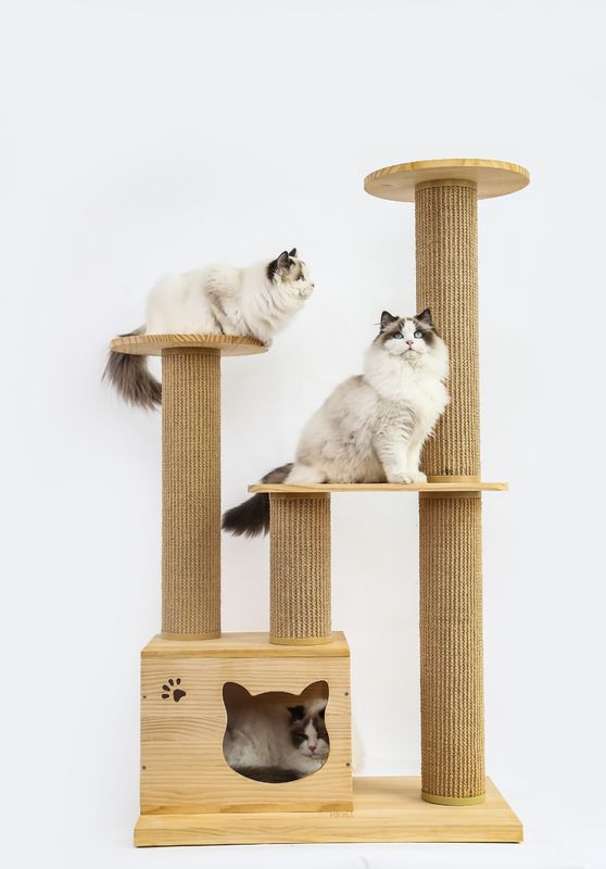 OEM &amp; ODM 호화스러운 나무로 되는 고양이 등반 나무 가구 안전 계단 애완 동물 상승 침대
