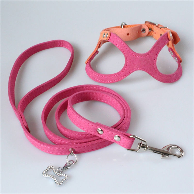 Hallupets 연약한 메시에 의하여 덧대지는 고리 가죽끈 마구 세트 개 가슴과 뒤 견인