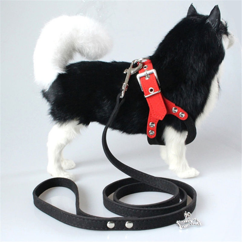 Hallupets 연약한 메시에 의하여 덧대지는 고리 가죽끈 마구 세트 개 가슴과 뒤 견인