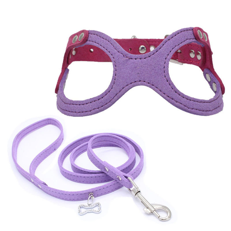 Hallupets 연약한 메시에 의하여 덧대지는 고리 가죽끈 마구 세트 개 가슴과 뒤 견인