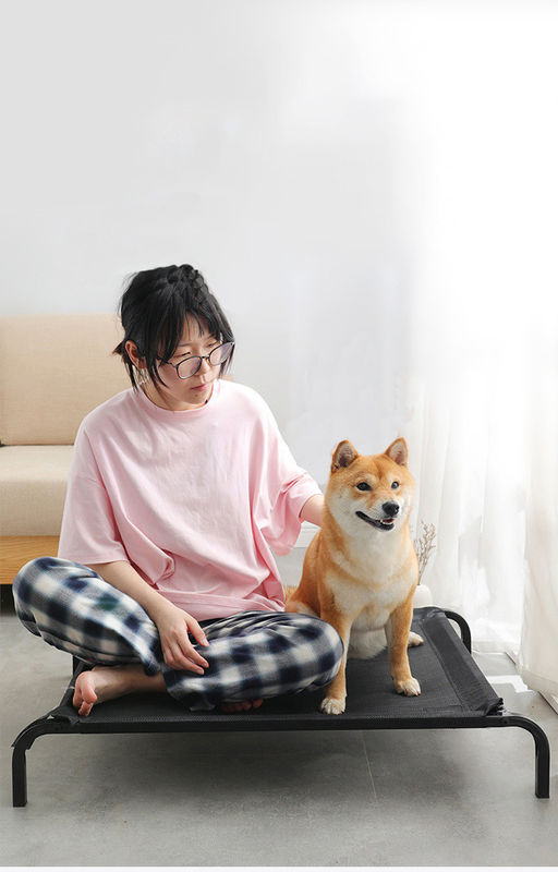 두꺼운 견면 벨벳 방석을 가진 안락한 애완 동물 침대 간이 침대 높은 개 침대를 접히는 대형 강철 관