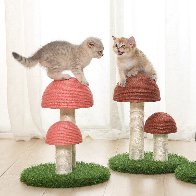 아마 버섯 사이잘삼 고양이 나무 타워 고양이 스크래치 포스트 보드 S 36*30cm