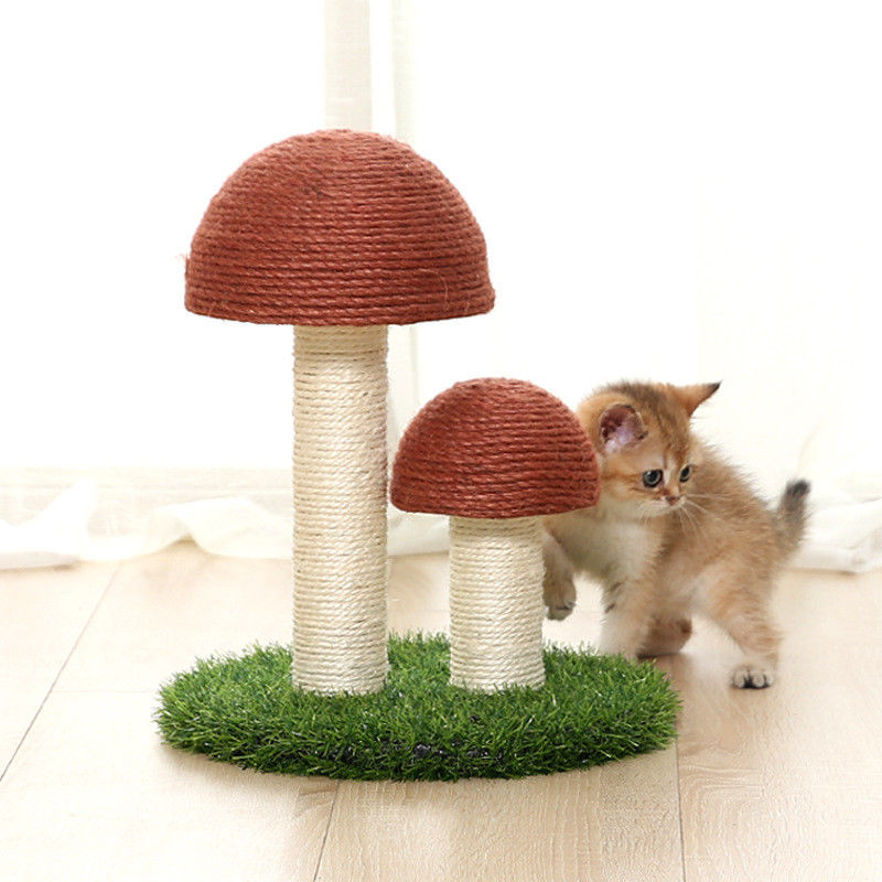 아마 버섯 사이잘삼 고양이 나무 타워 고양이 스크래치 포스트 보드 S 36*30cm