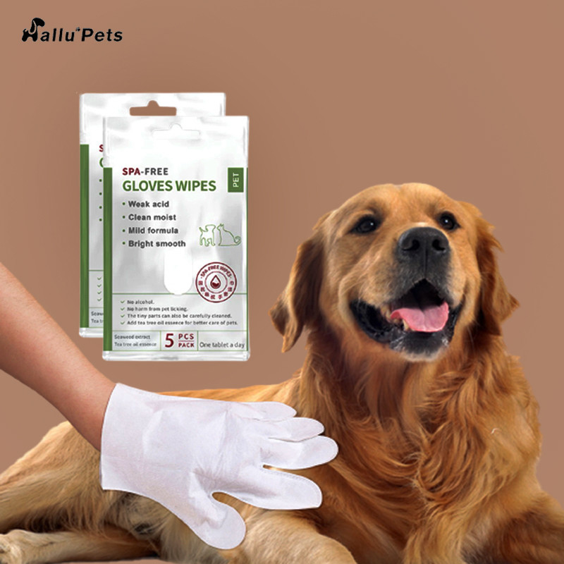 표면 본체 귀 손과 엉덩이를 위한 글러브를 청소하는 5 PC 버릴 수 있는 No Rinse Pet